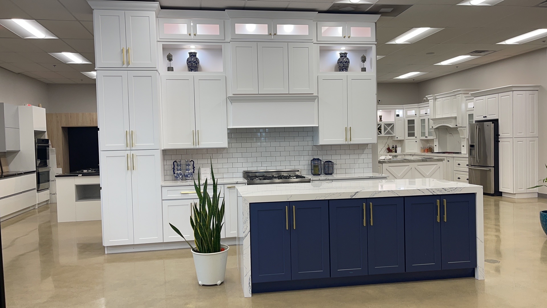 LSW AND BLUE KITCHEN